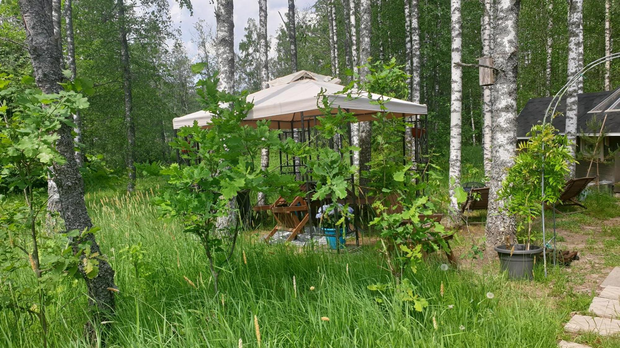 Troll House Eco-Cottage, Nuuksio For Nature Lovers, Petfriendly Espoo Exteriér fotografie